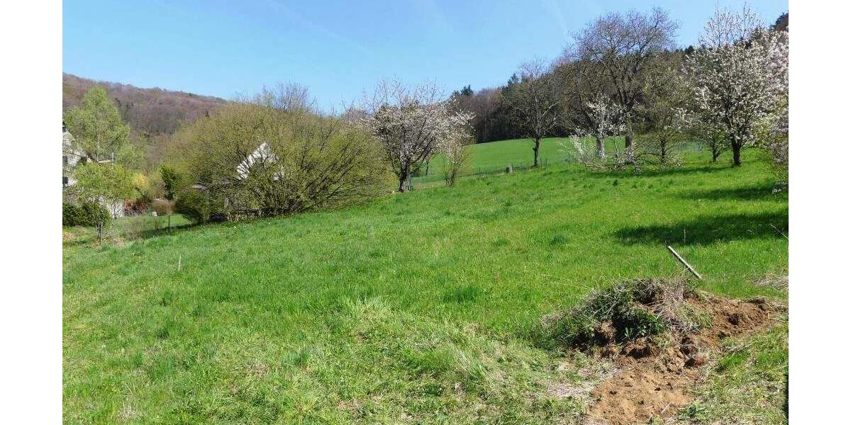 Grundstück Reichenschwand Leuzenberg - 325.000&euro; | Angebot:25880417