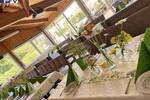 Gewerbeobjekt Burgthann Mimberg - 599.000&euro; | Angebot:26306157