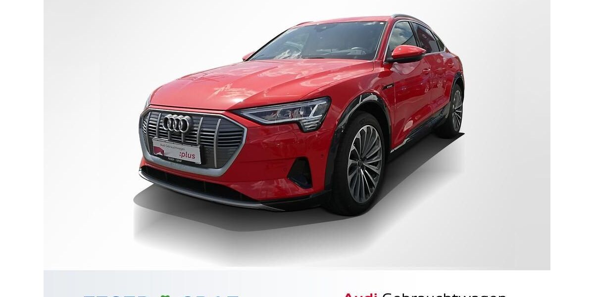 Audi e-tron 47.700 km 34.590 &euro; Lauf an der Pegnitz 91207