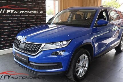 Skoda Kodiaq 113.450 km 20.900 &euro; Fürth 90765