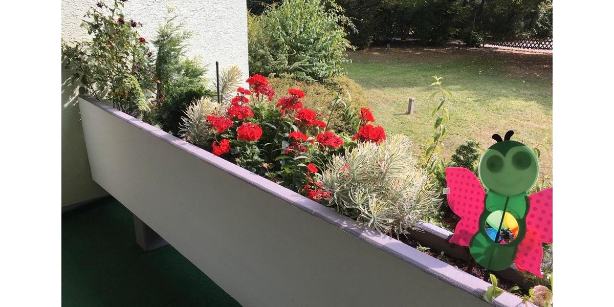 Erdgeschoßwohnung Nürnberg Schnepfenreuth - 3 Zimmer, 93 m&sup2;, 369.000&euro; | Angebot:25987653