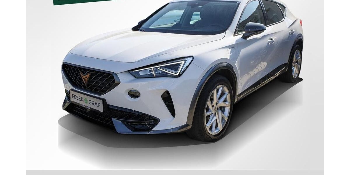 Cupra Formentor 47.250 km 21.440 &euro; Herzogenaurach 91074