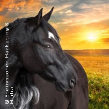 OSTWIND live - Zusammen sind wir frei 26.04.2026 Festplatz Buch