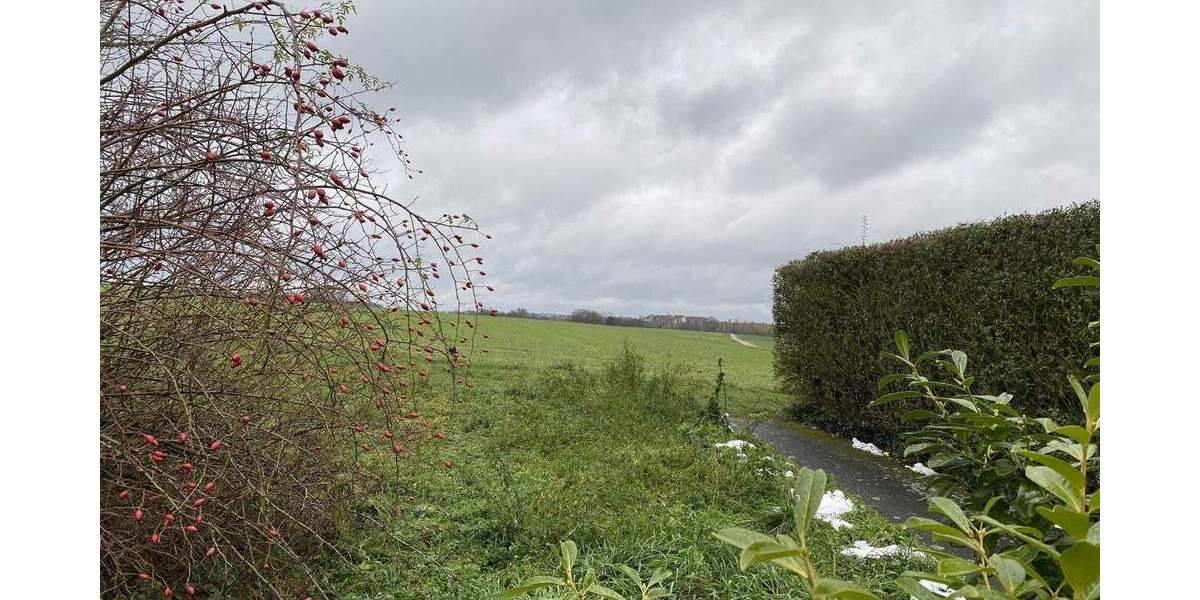 Mehrfamilienhaus, Wohnhaus Aurachtal - Falkendorf Falkendorf - 1.300.000&euro; | Angebot:25690506