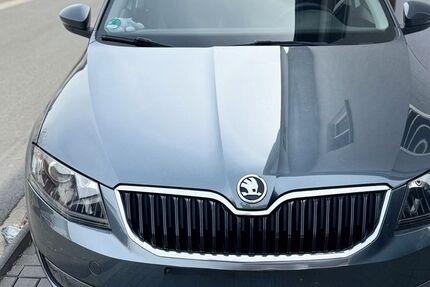 Skoda Octavia 160.000 km 10.999 &euro; Großhabersdorf 90613