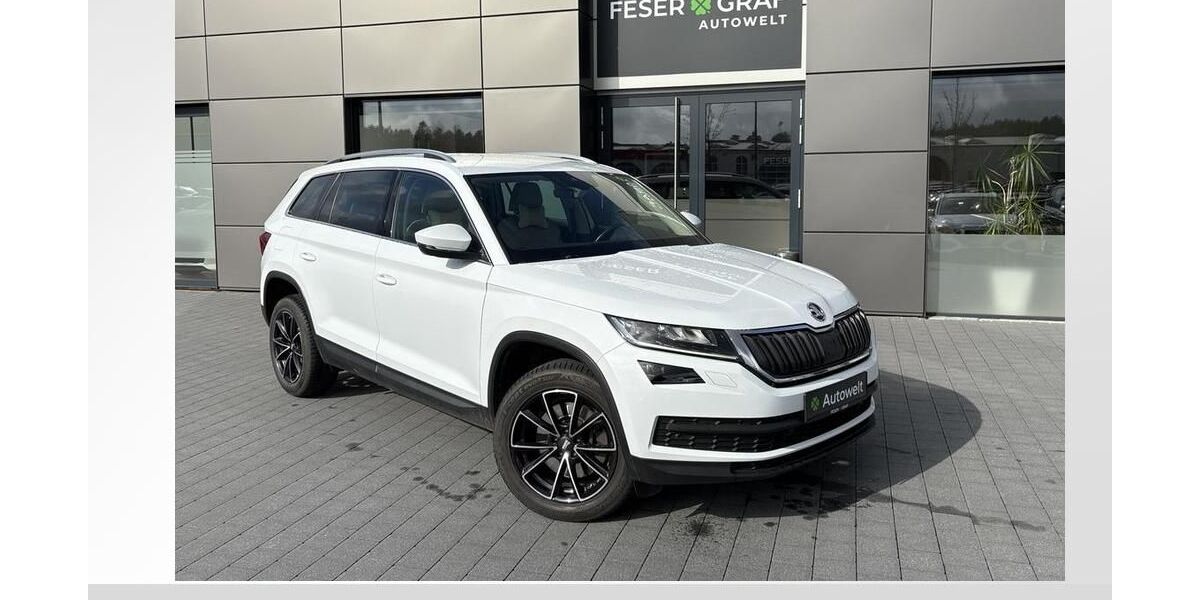 Skoda Kodiaq 107.950 km 24.990 &euro; Roth 91154