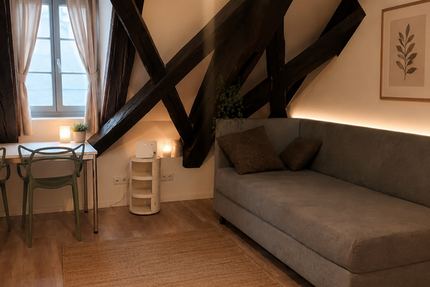 Wohnung Erlangen Burgberg - 1 Zimmer, 20 m&sup2;, 650&euro; | Angebot:26837944
