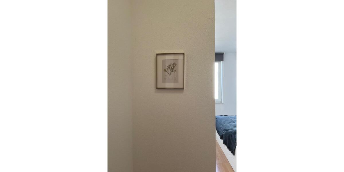 Etagenwohnung Nürnberg Gleißhammer - 1 Zimmer, 25 m&sup2;, 620&euro; | Angebot:24945705