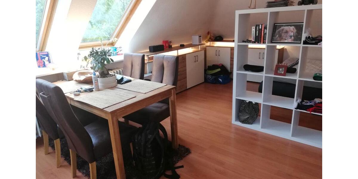 Dachgeschoßwohnung Nürnberg Zerzabelshof - 1 Zimmer, 32 m&sup2;, 550&euro; | Angebot:26142978