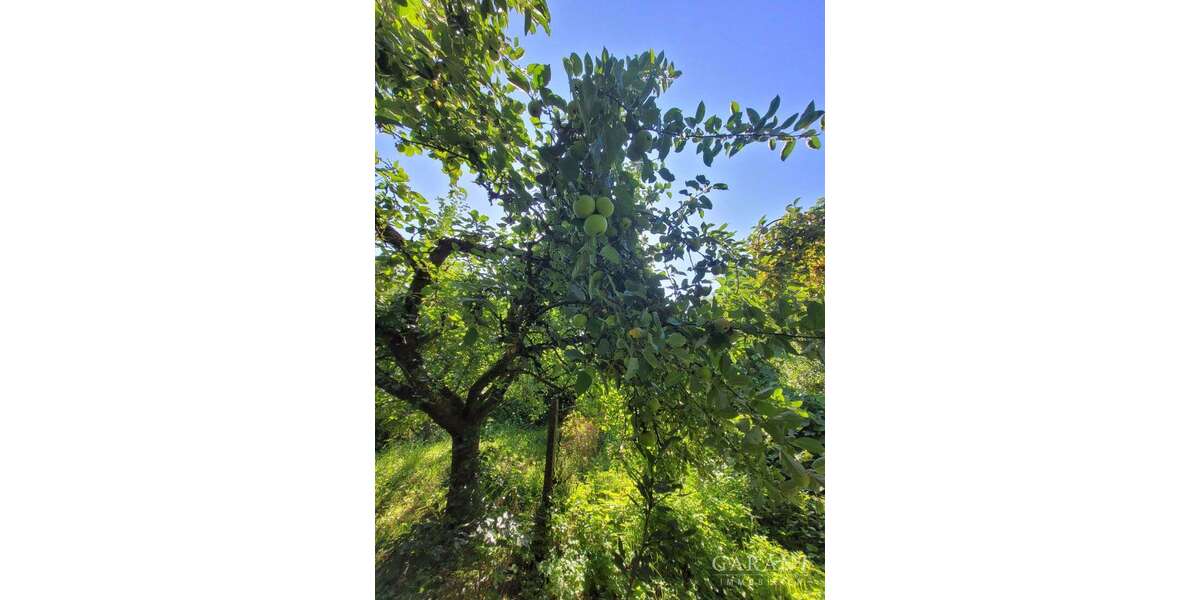 Einfamilienhaus Schwabach - 6 Zimmer, 184 m&sup2;, 399.000&euro; | Angebot:25435310