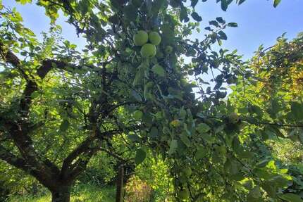 Haus Schwabach - 6 Zimmer, 184 m&sup2;, 399.000&euro; | Angebot:25435310