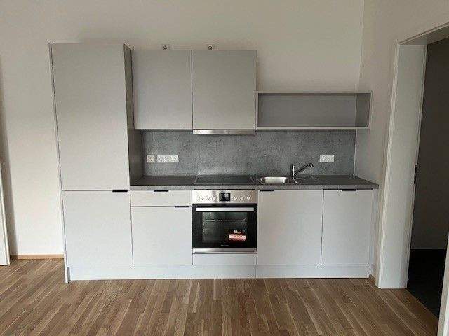 Terrassenwohnung Nürnberg Gostenhof - 2 Zimmer, 66 m&sup2;, 1.050&euro; | Angebot:25928766