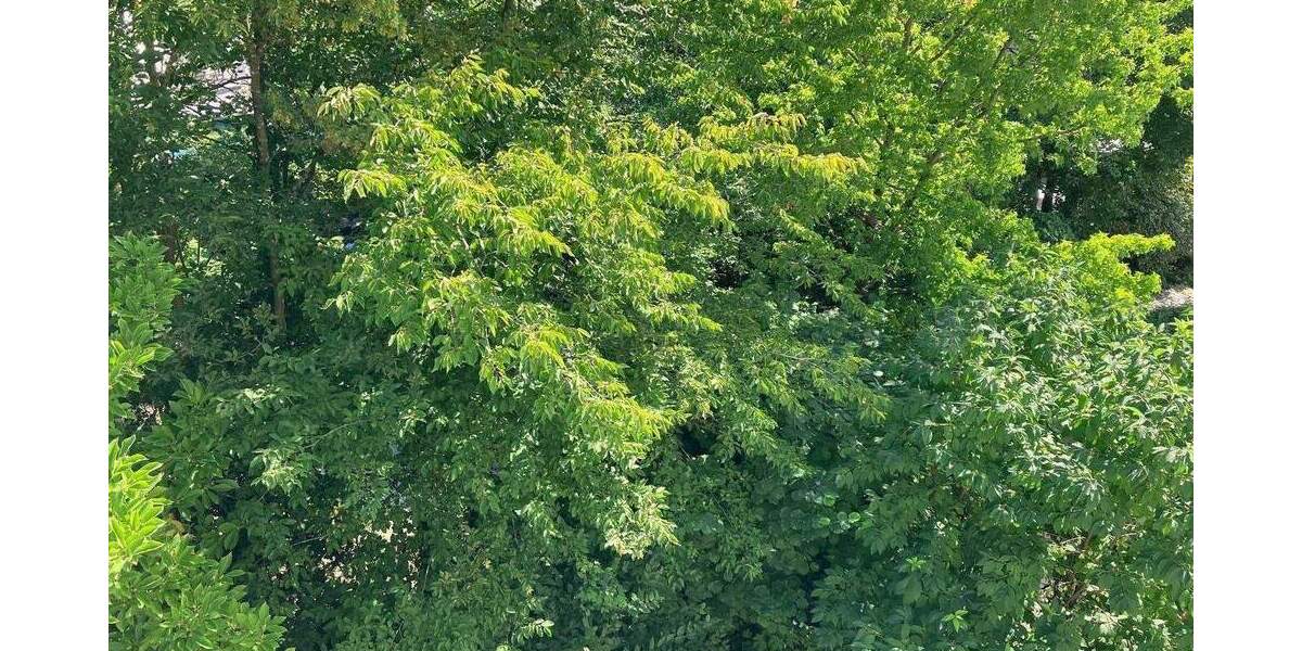 Etagenwohnung Erlangen Burgberg - 2 Zimmer, 90 m&sup2;, 499.500&euro; | Angebot:26242908