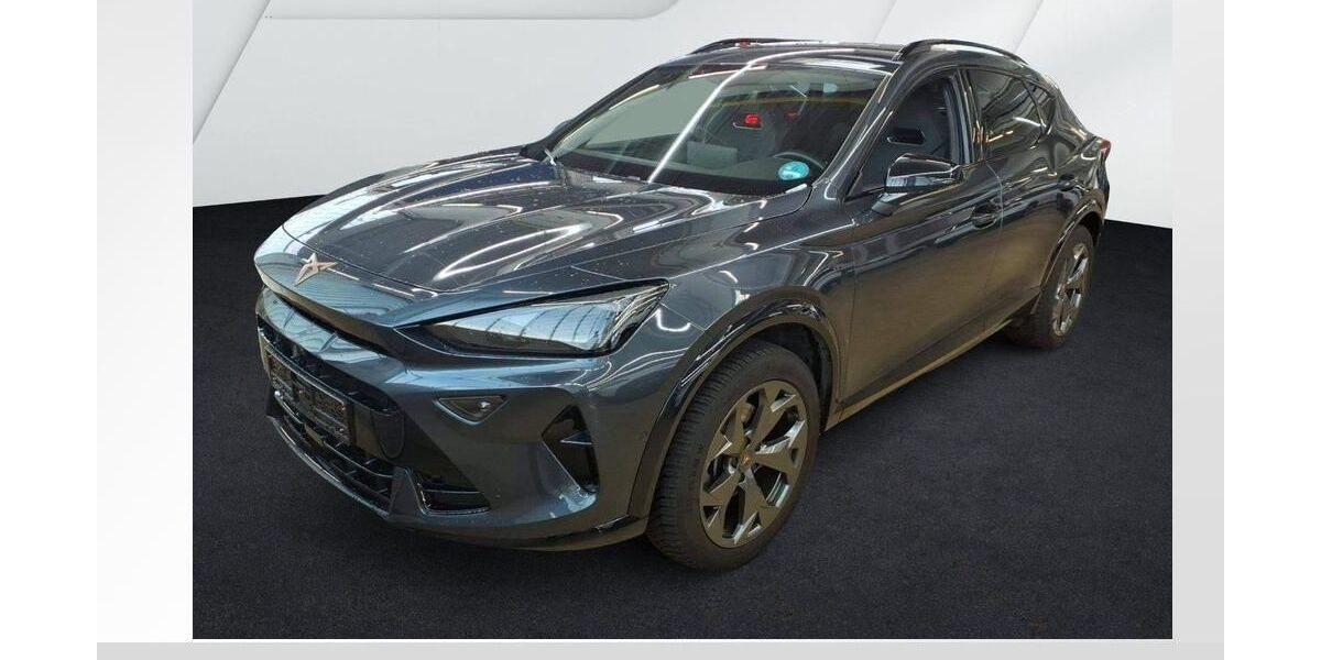 Cupra Formentor 24.600 km 32.980 &euro; Fürth 90763