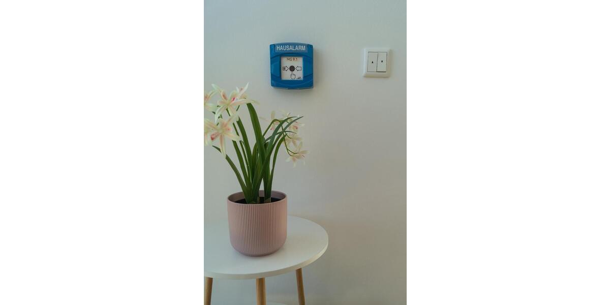 Erdgeschoßwohnung Aurachtal - 1 Zimmer, 47 m&sup2;, 712&euro; | Angebot:16921037