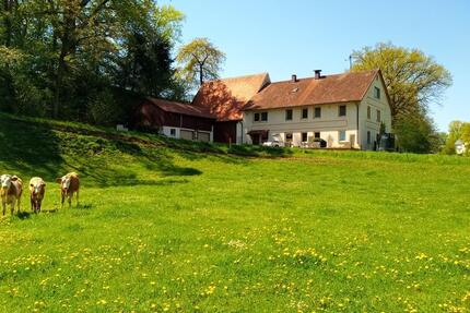 Haus Langenzenn - 9 Zimmer, 250 m&sup2;, 549.000&euro; | Angebot:24766627