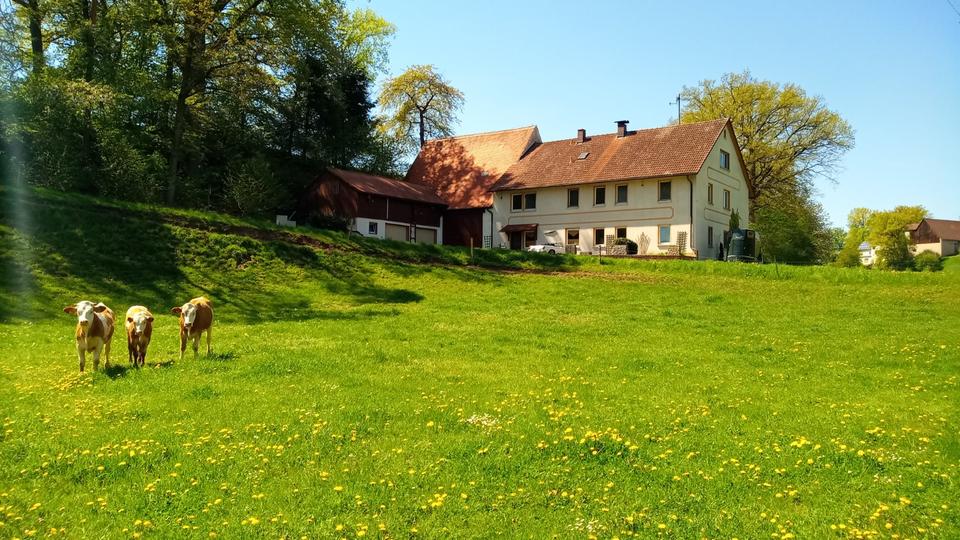 Mehrfamilienhaus, Wohnhaus Langenzenn - 9 Zimmer, 250 m&sup2;, 549.000&euro; | Angebot:24766627