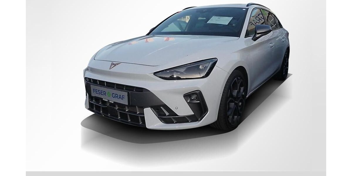 Cupra Leon 17.500 km 39.992 &euro; Lauf an der Pegnitz 91207