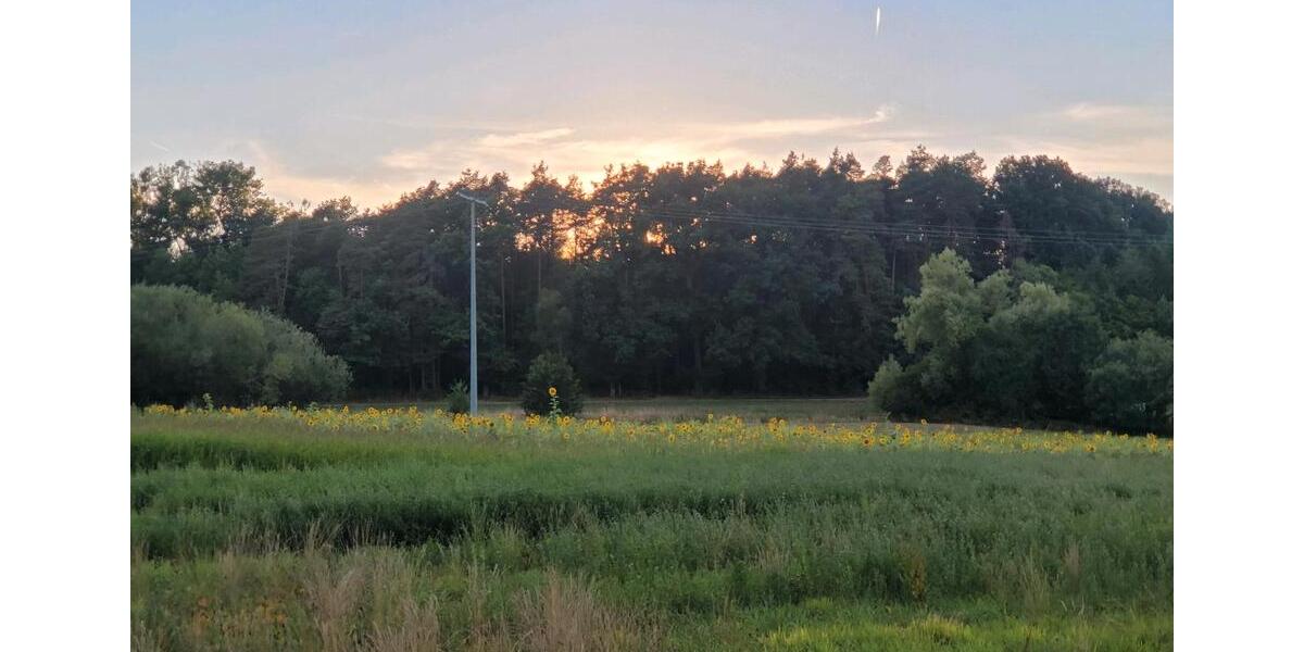 Doppelhaushälfte Lauf an der Pegnitz - 4 Zimmer, 130 m&sup2;, 469.000&euro; | Angebot:26043981