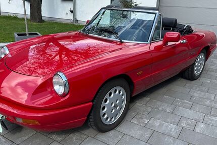 Alfa Romeo Spider 94.720 km 19.800 &euro; Nürnberg 90480