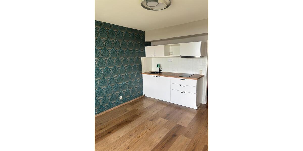 Etagenwohnung Nürnberg Gaismannshof - 1 Zimmer, 27 m&sup2;, 630&euro; | Angebot:25951785