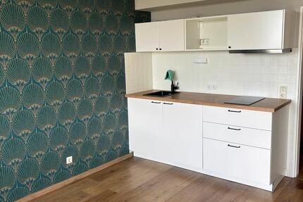 Wohnung Nürnberg Gaismannshof - 1 Zimmer, 27 m&sup2;, 630&euro; | Angebot:25951785