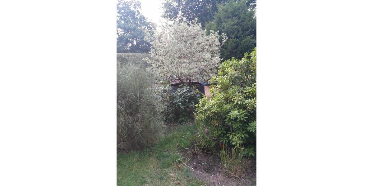 Etagenwohnung Nürnberg Erlenstegen - 2.5 Zimmer, 61 m&sup2;, 550&euro; | Angebot:24756276