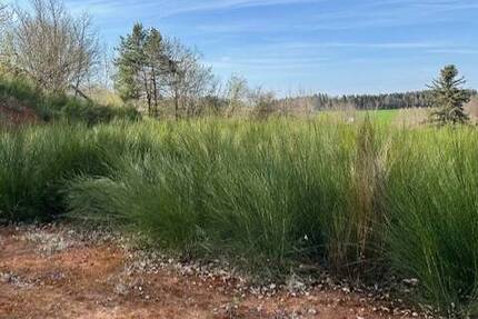 Grundstück Burgthann Grub - 134.500&euro; | Angebot:25771714