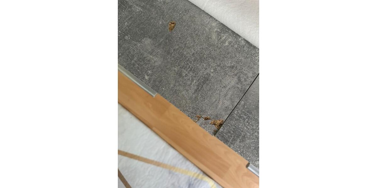 Erdgeschoßwohnung Nürnberg Rabus - 1 Zimmer, 4 m&sup2;, 60&euro; | Angebot:25827633