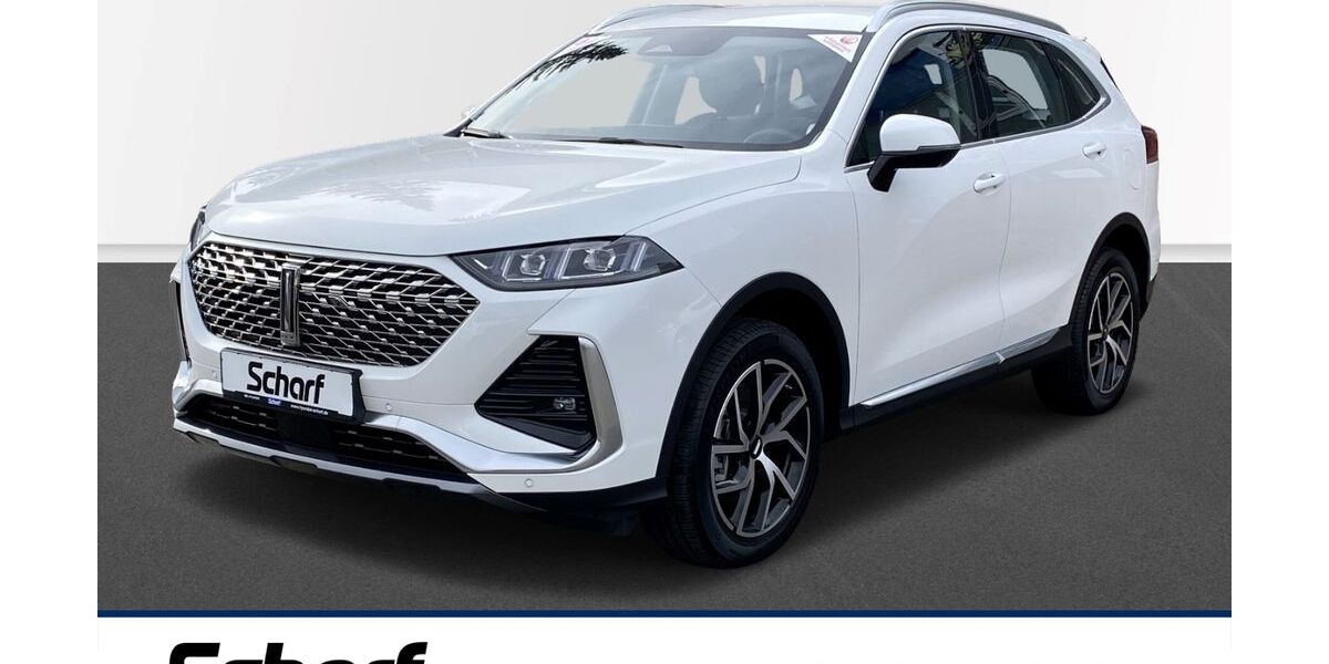 GWM Wey 03 23.170 km 30.897 &euro; Lauf 91207