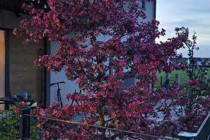 Haus Langensendelbach - 6 Zimmer, 178 m&sup2;, 1.100.000&euro; | Angebot:25336739