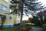 Etagenwohnung Lauf an der Pegnitz Lauf - 2 Zimmer, 63 m&sup2;, 750&euro; | Angebot:26833722