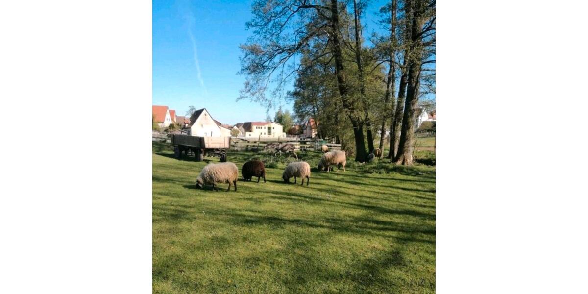 Bauernhaus, Landhaus Wilhermsdorf - 6.5 Zimmer, 180 m&sup2;, 495.000&euro; | Angebot:25614740