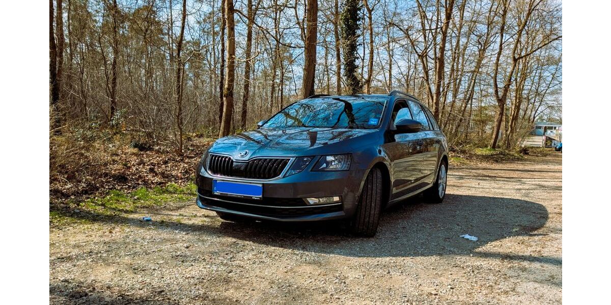 Skoda Octavia 164.357 km 15.300 &euro; Nürnberg 90480