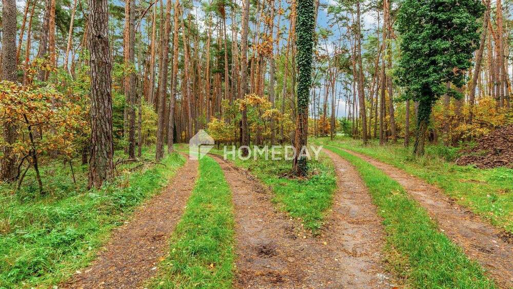 Bauernhaus, Landhaus Abenberg Ebersbach - 4 Zimmer, 300 m&sup2;, 844.000&euro; | Angebot:25708862