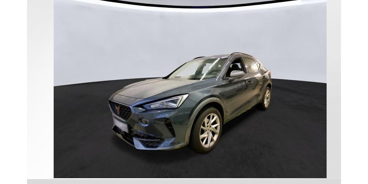Cupra Formentor 26.850 km 26.450 &euro; Lauf an der Pegnitz 91207
