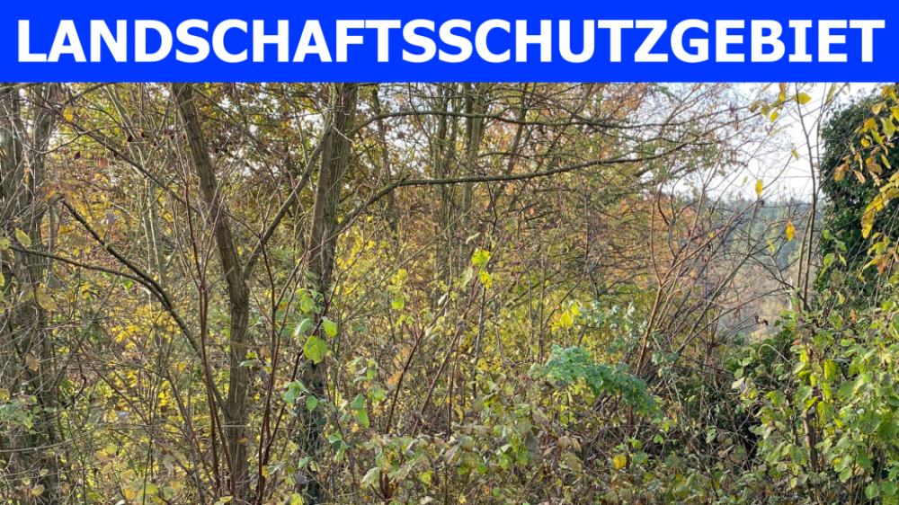 Grundstück Fürth Atzenhof - 198.000&euro; | Angebot:24709741