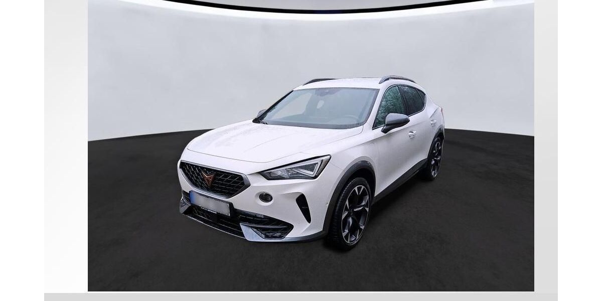 Cupra Formentor 34.450 km 25.750 &euro; Lauf an der Pegnitz 91207