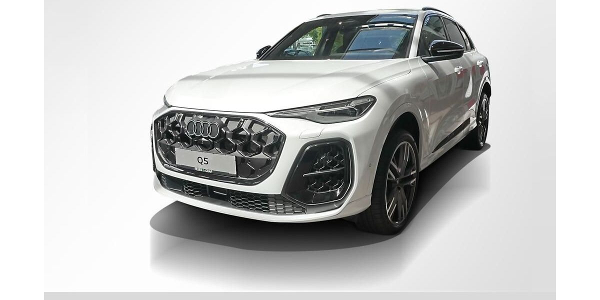 Audi SQ5 10.000 km 86.850 &euro; Erlangen 91058