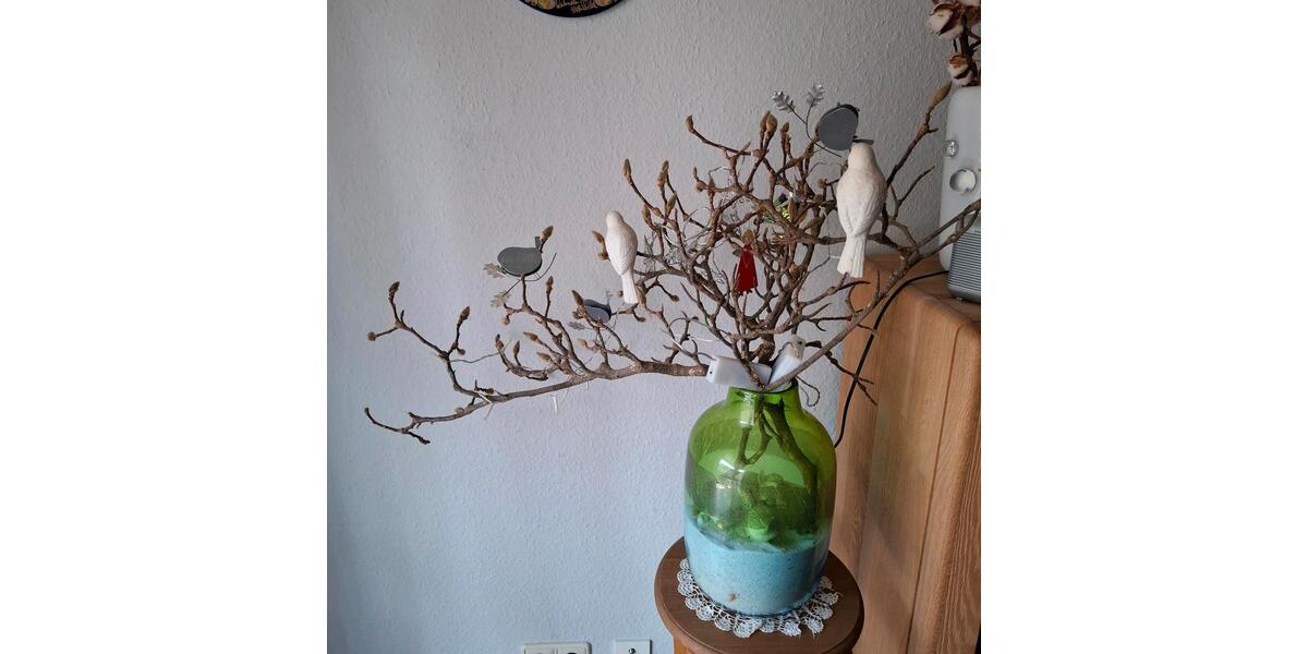 Etagenwohnung Nürnberg Erlenstegen - 1 Zimmer, 69 m&sup2;, 700&euro; | Angebot:25843178