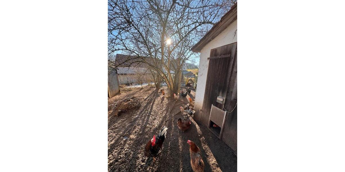 Bauernhaus, Landhaus Altdorf bei Nürnberg - 6 Zimmer, 139 m&sup2;, 399.000&euro; | Angebot:24330436