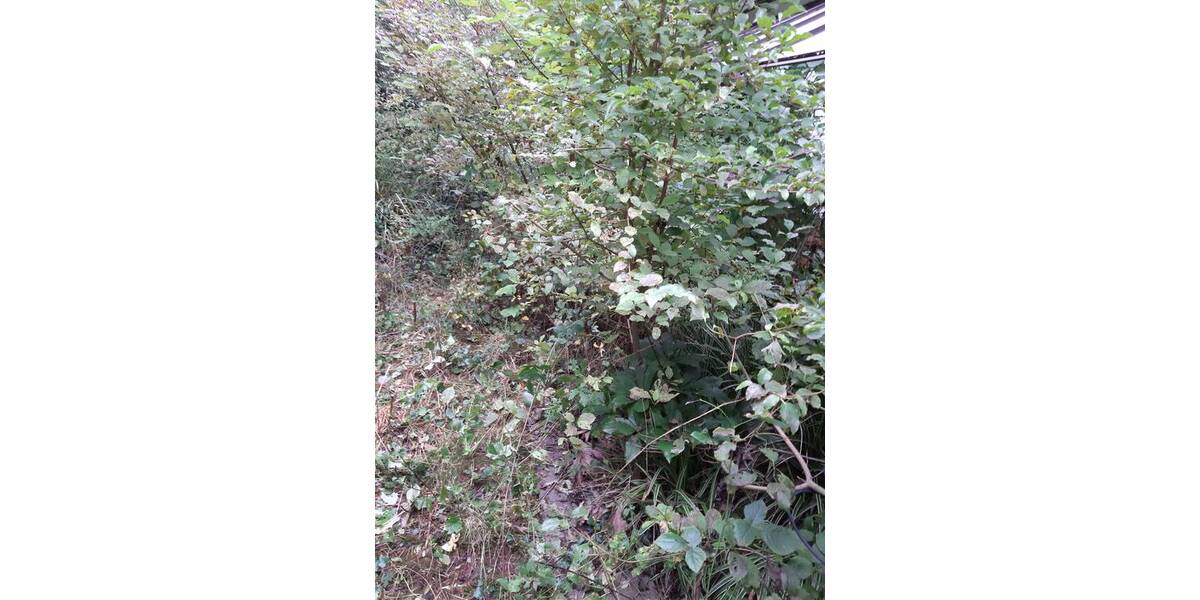 Einfamilienhaus Zirndorf Bronnamberg - 9 Zimmer, 160 m&sup2;, 500.000&euro; | Angebot:25662809