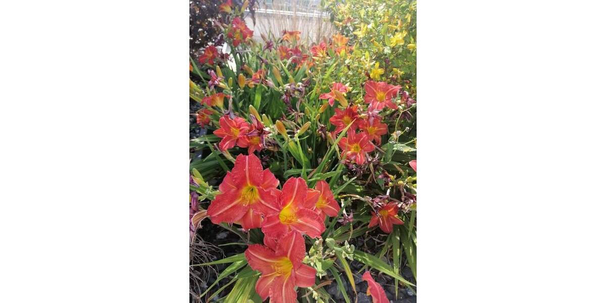 Etagenwohnung Nürnberg Steinbühl - 2 Zimmer, 73 m&sup2;, 298.000&euro; | Angebot:25748651