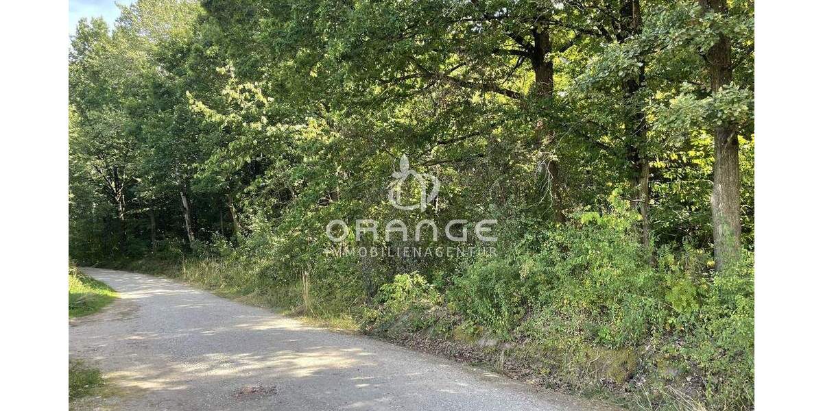 Etagenwohnung Hemhofen - 1 Zimmer, 42 m&sup2;, 129.000&euro; | Angebot:25678541