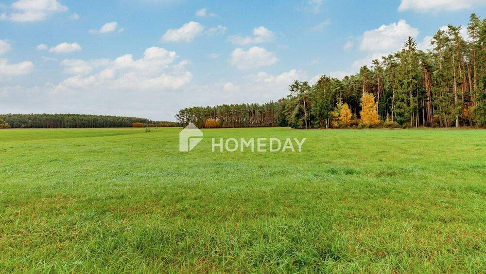 Bauernhaus, Landhaus Abenberg Ebersbach - 4 Zimmer, 300 m&sup2;, 844.000&euro; | Angebot:25708862