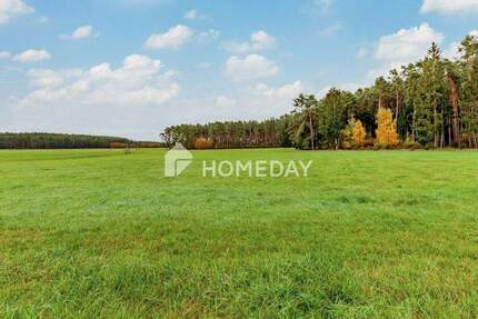 Haus Abenberg Ebersbach - 4 Zimmer, 300 m&sup2;, 844.000&euro; | Angebot:25708862