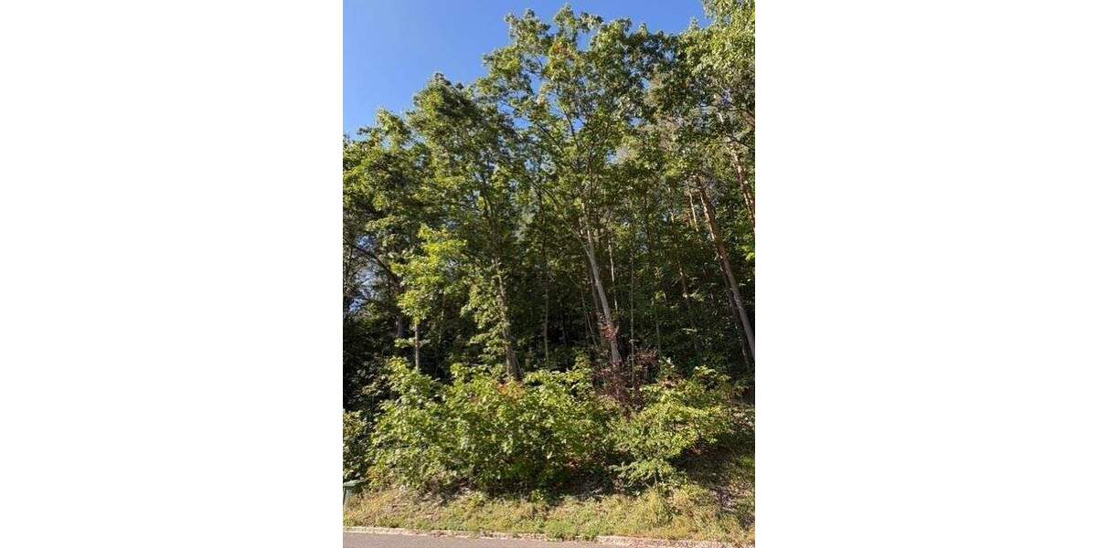 Einfamilienhaus Schwarzenbruck - 4 Zimmer, 146 m&sup2;, 615.000&euro; | Angebot:25676661