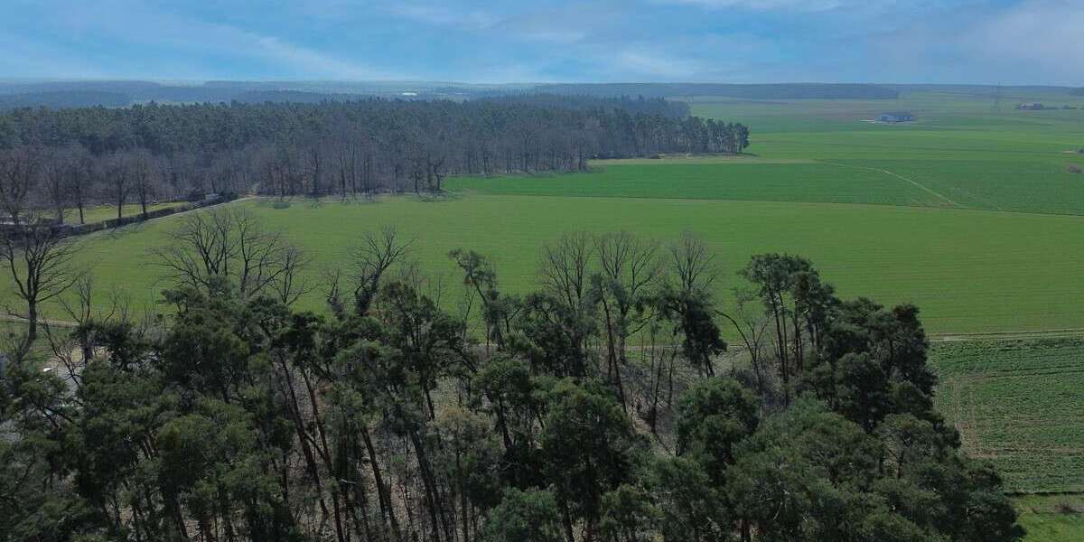 Einfamilienhaus Stein bei Nürnberg - 7 Zimmer, 154 m&sup2;, 698.000&euro; | Angebot:25918248