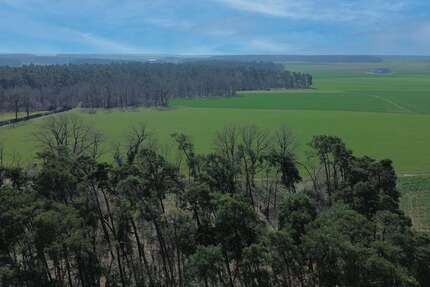 Haus Stein bei Nürnberg - 7 Zimmer, 154 m&sup2;, 698.000&euro; | Angebot:25918248