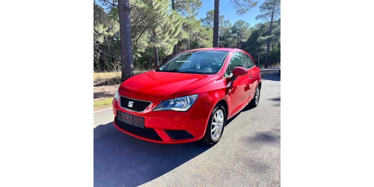 Seat Ibiza 119.100 km 6.190 &euro; Röthenbach 90552